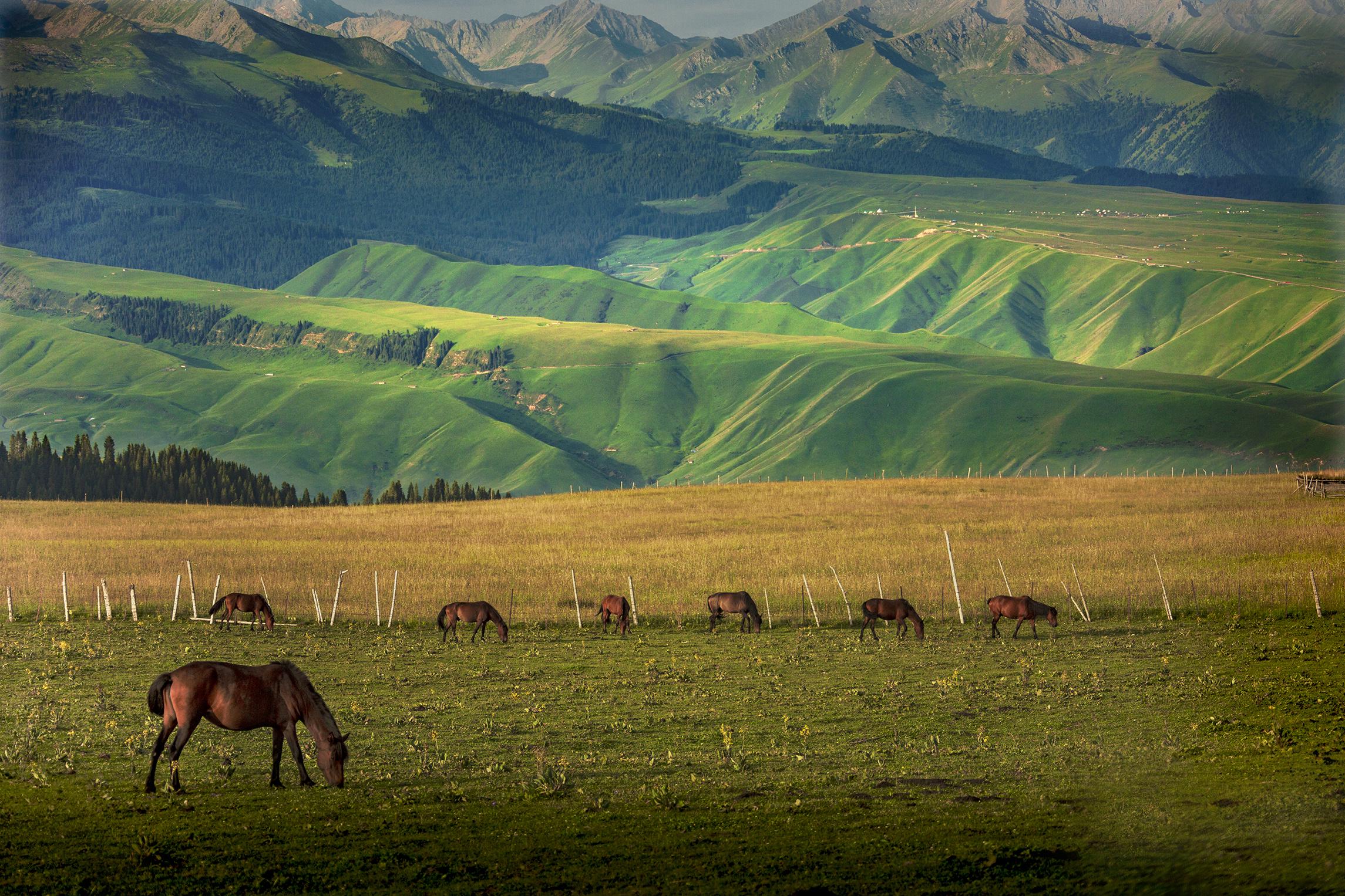 新疆，多元文化交融的璀璨明珠